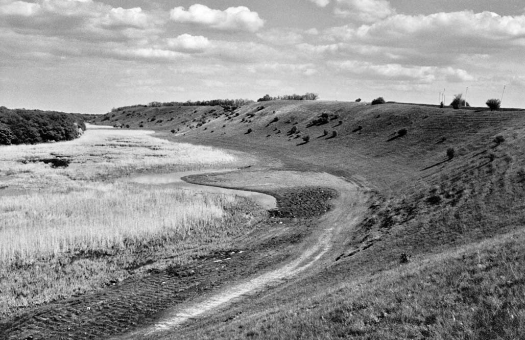 фото: Лелія