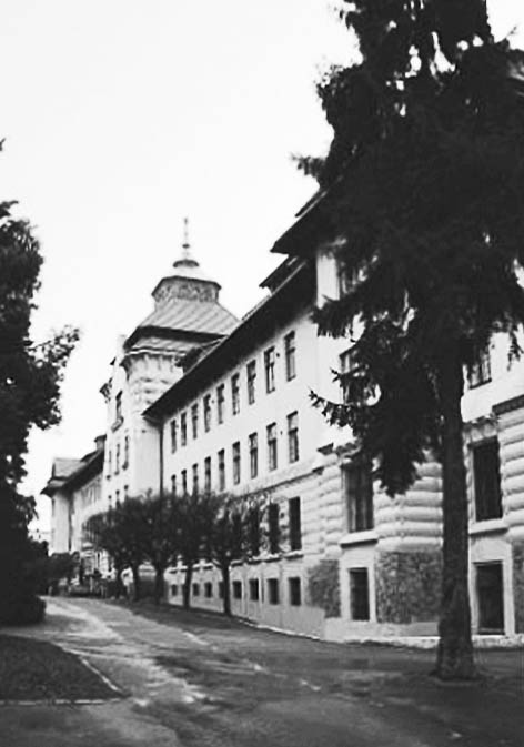 фото: Лісотехнічний університет України Національний