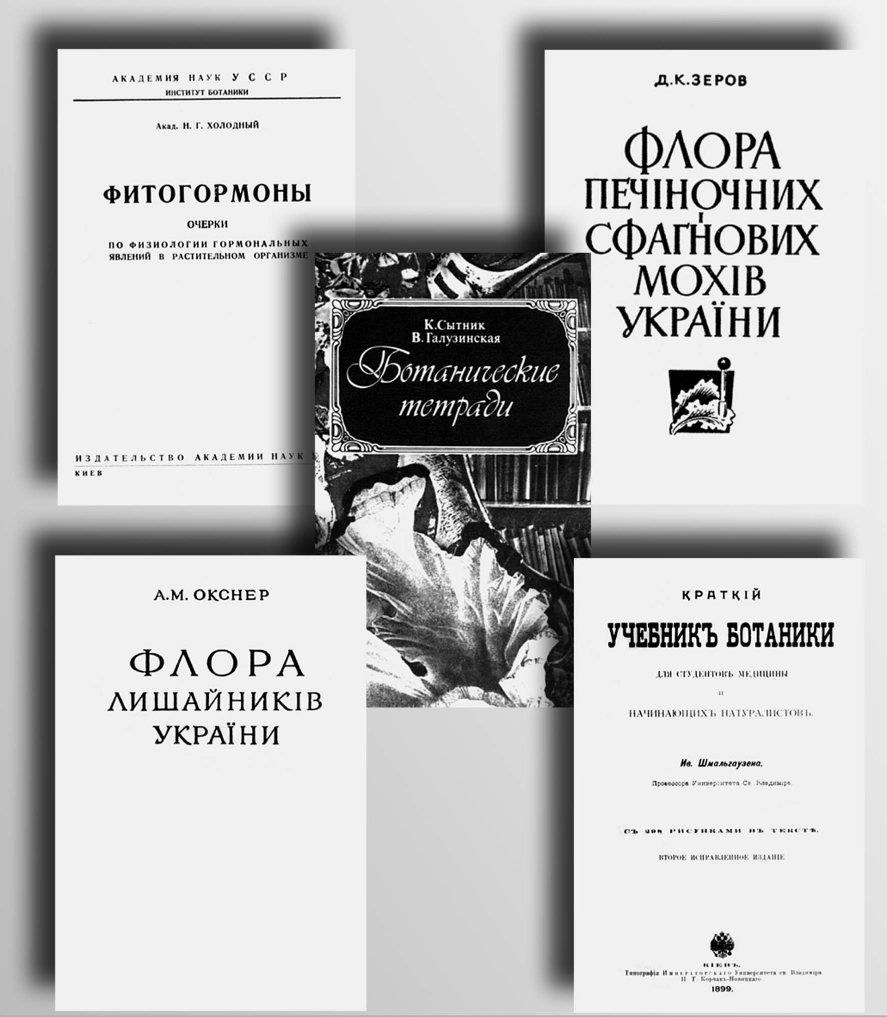 фото: Ботаніка