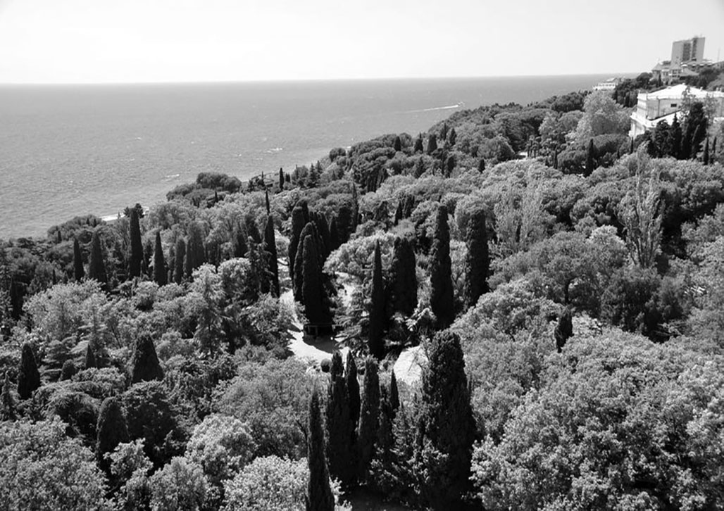 фото: Місхорський парк