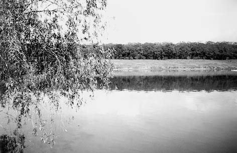 фото: Висунь