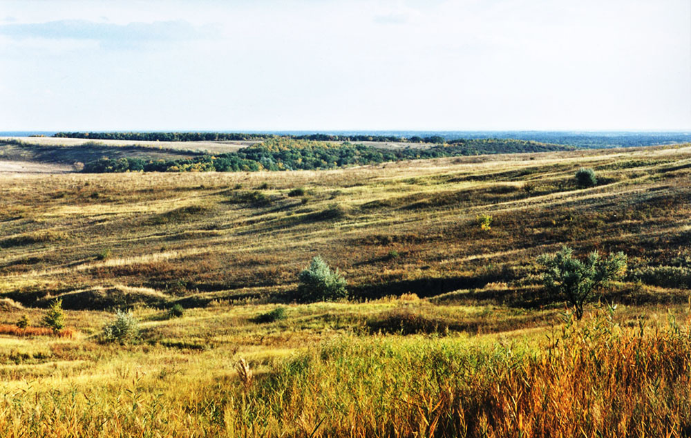 Балка