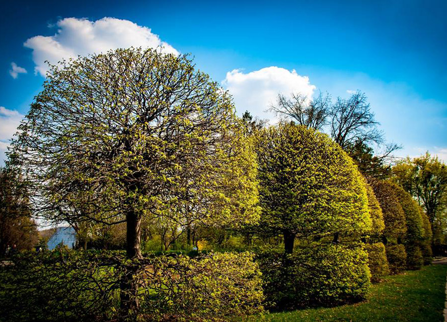 Національний ботанічний сад імені Миколи Гришка НАН України