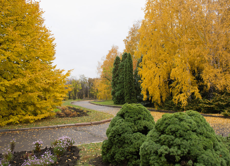 Криворізький ботанічний сад НАН України