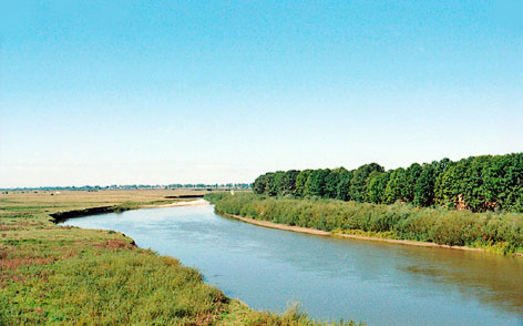 Горинь