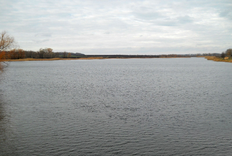 Конелка