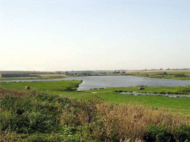 Коршів