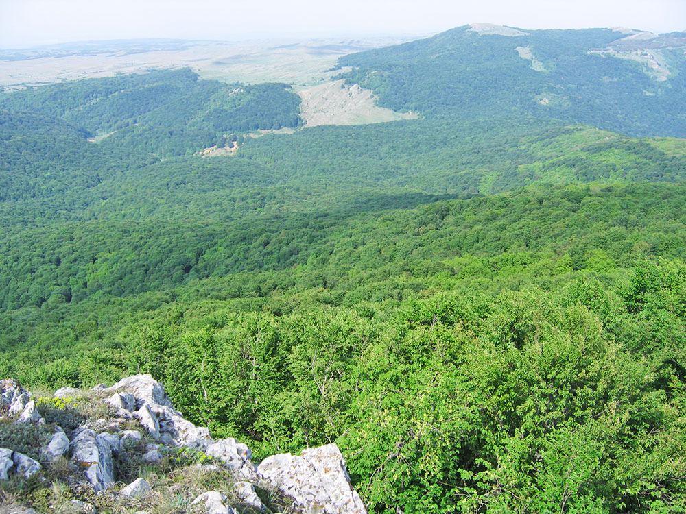 Каратау
