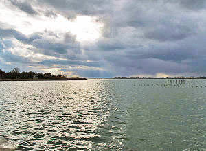Кирлеуцьке