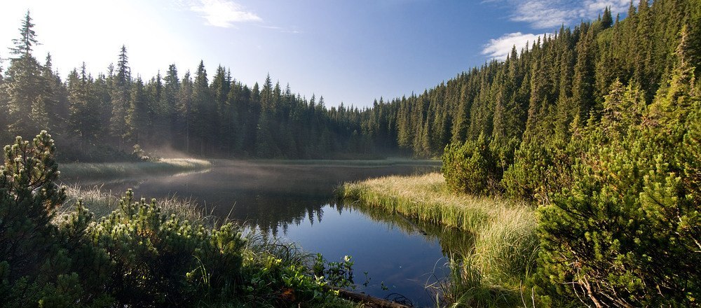 Марічейка